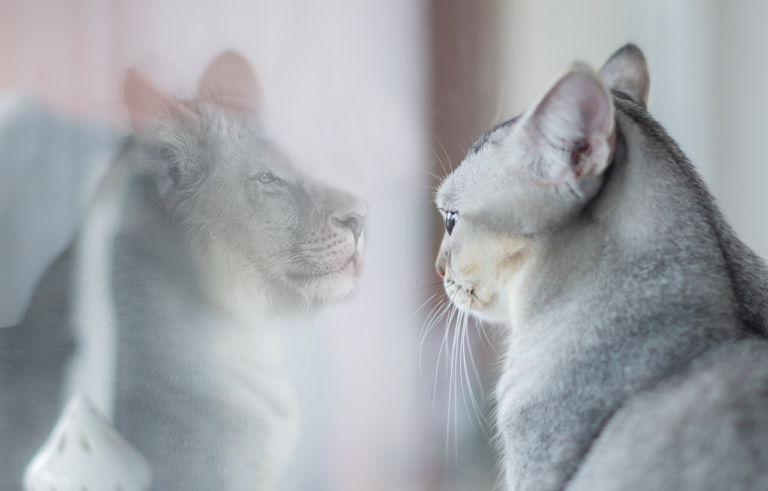 5 clés pour booster votre confiance en soi